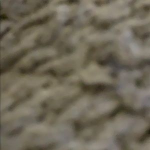 Meet your Posher, Aubree